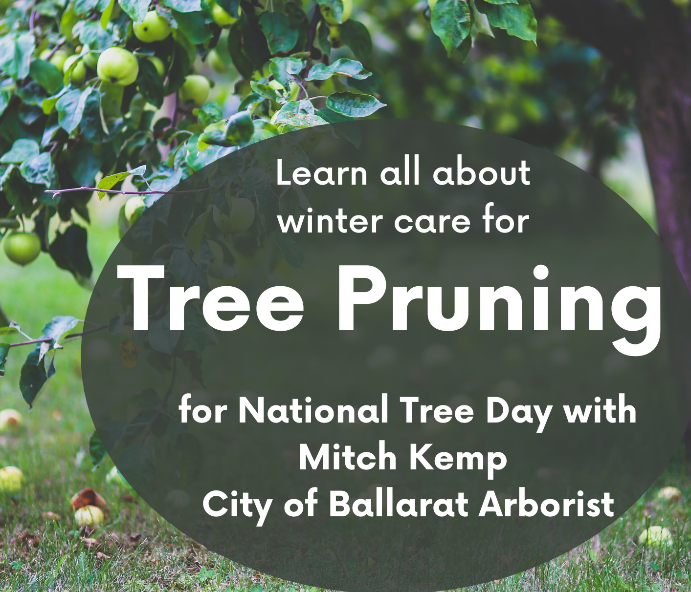 Tree Pruning 2021